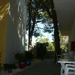 Kuris & Vasilikí