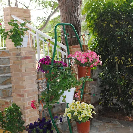 شقة Kuris & Vasilikí