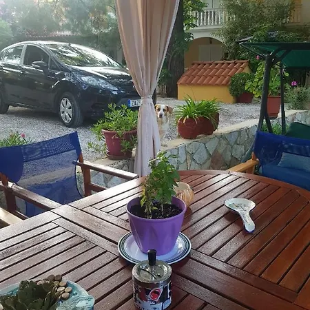 Kuris & * Vasilikí