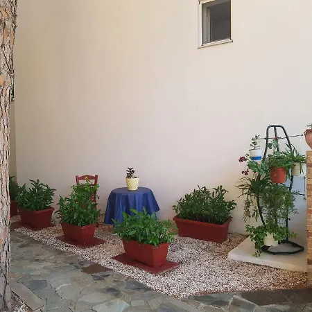 Kuris & * Vasilikí