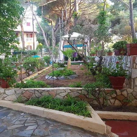 Kuris & Vasilikos (Zakynthos)